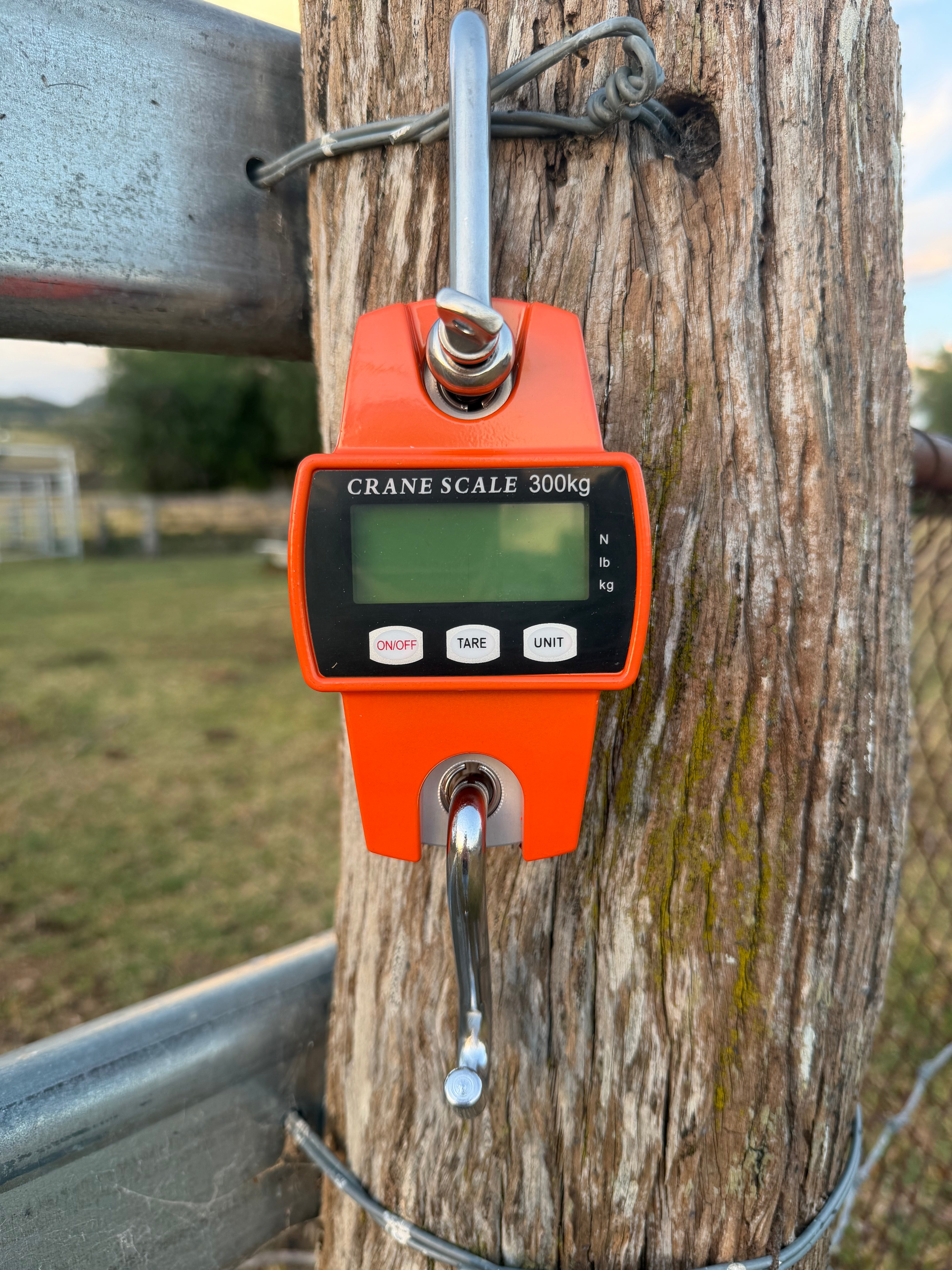 VDKC Pig Scales