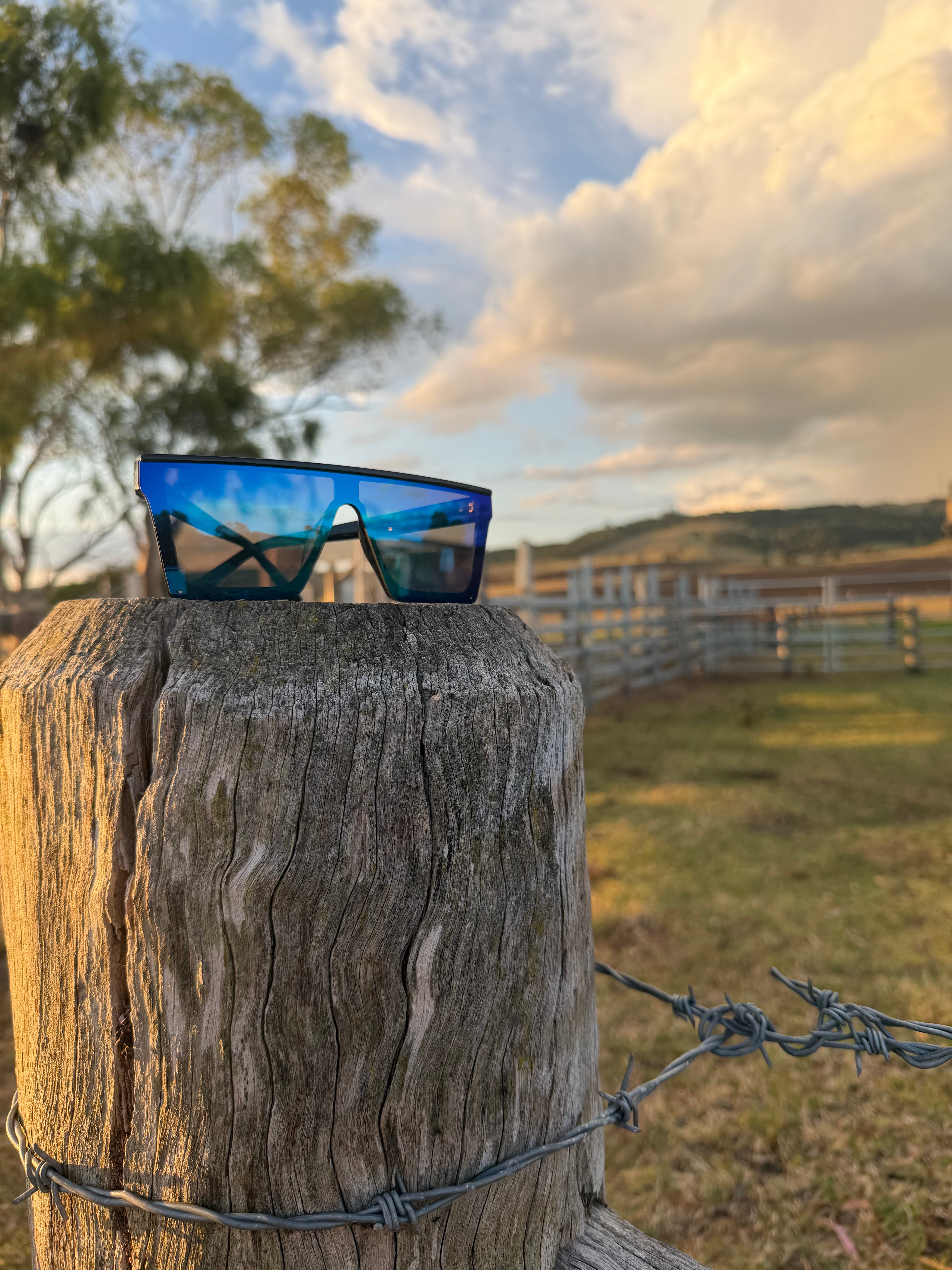 BB4x4 Black Sunnies with Blue Lens