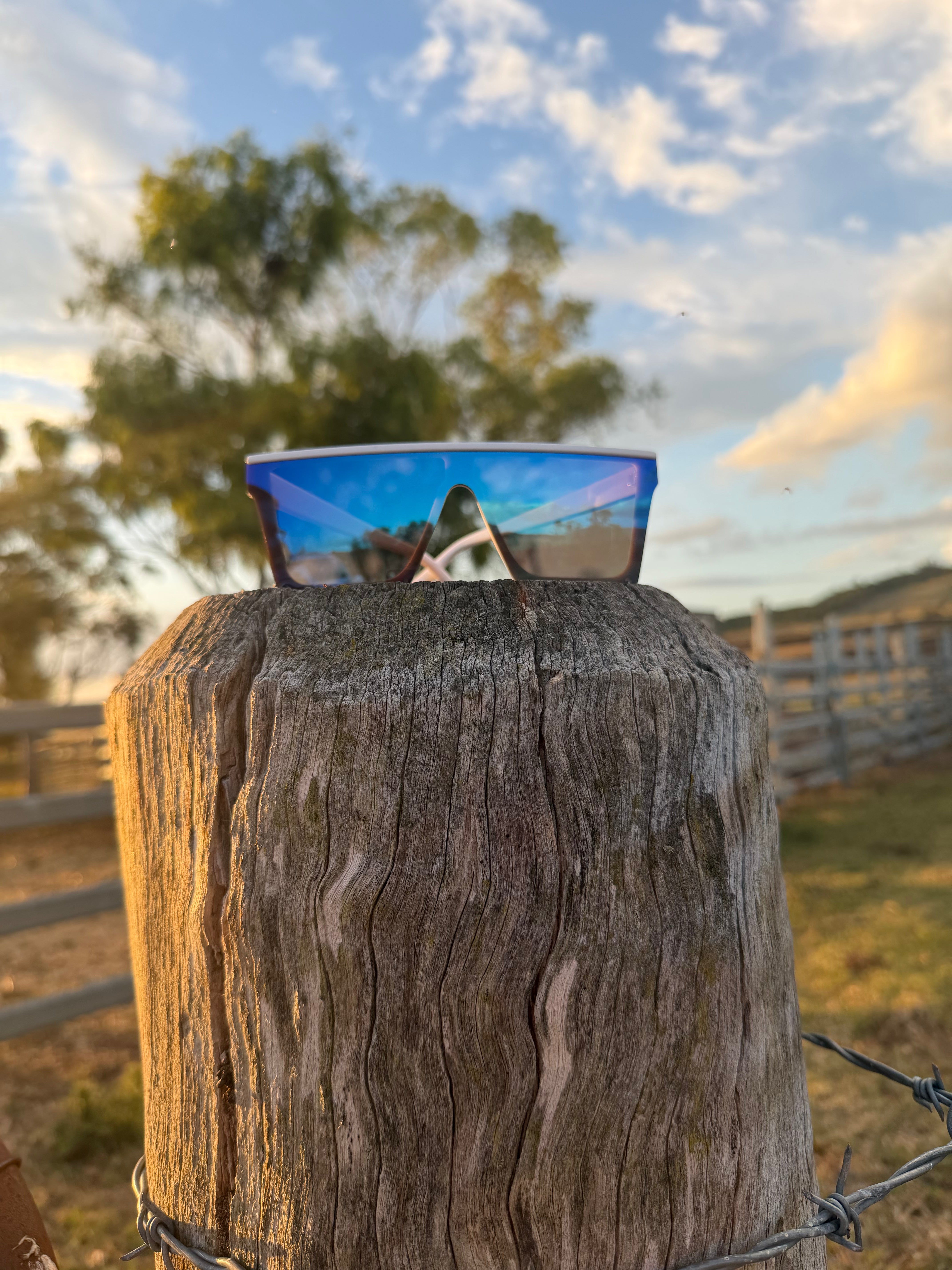 BB4x4 White Sunnies with Blue Lens