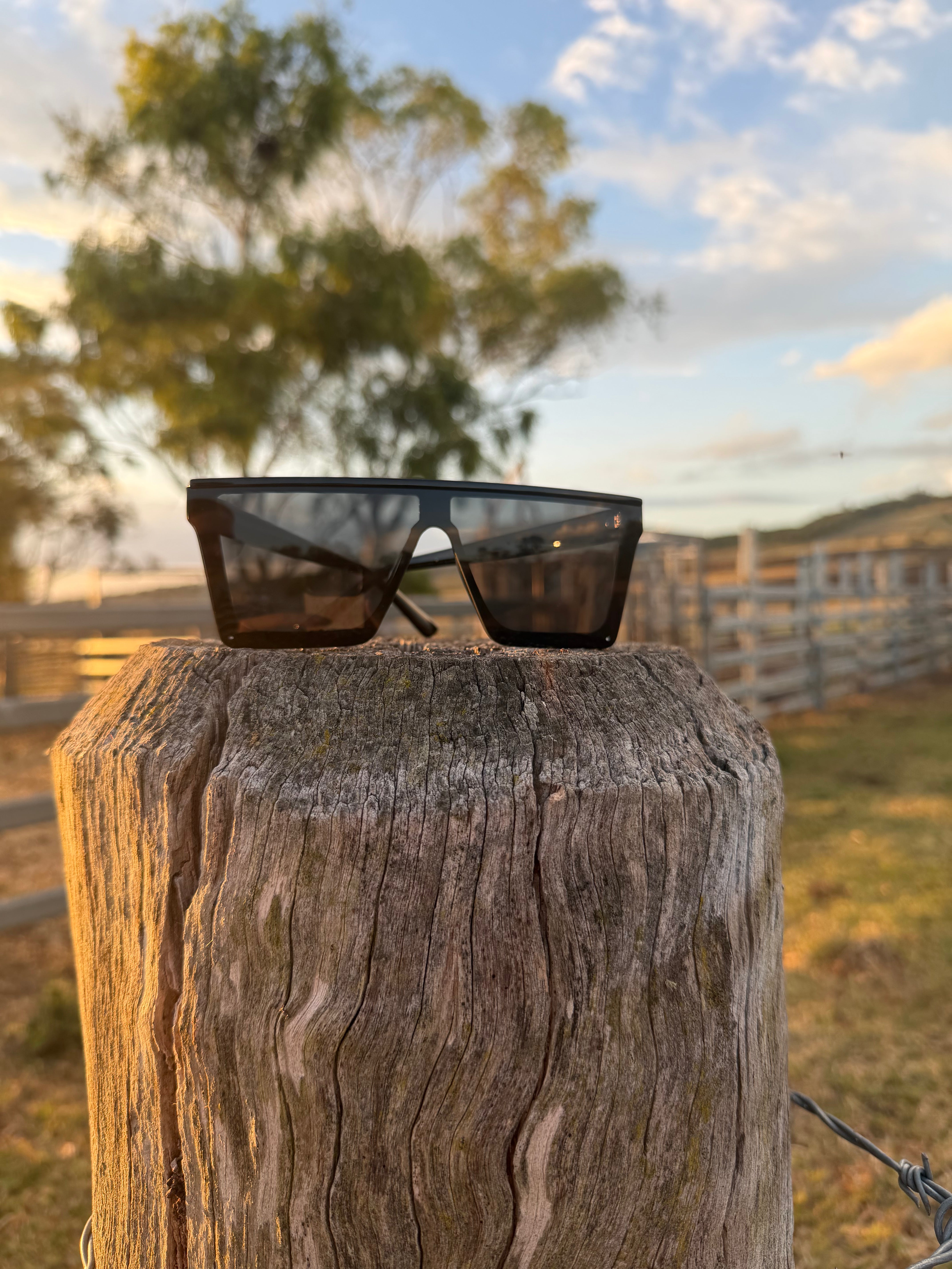 BB4x4 Black Sunnies with Black Lens