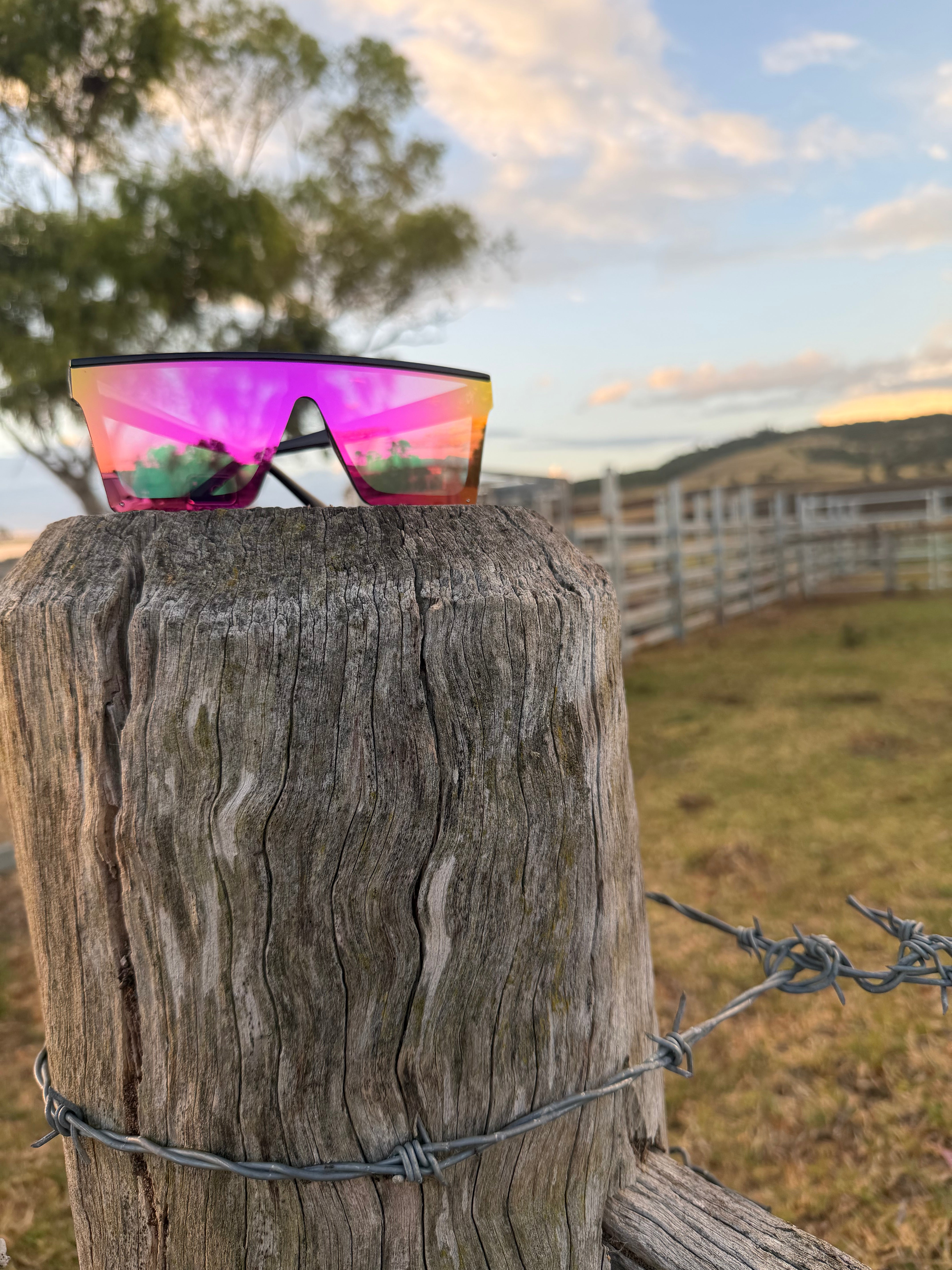 BB4x4 Black Sunnies with Sunset (Pink/Orange) Lens