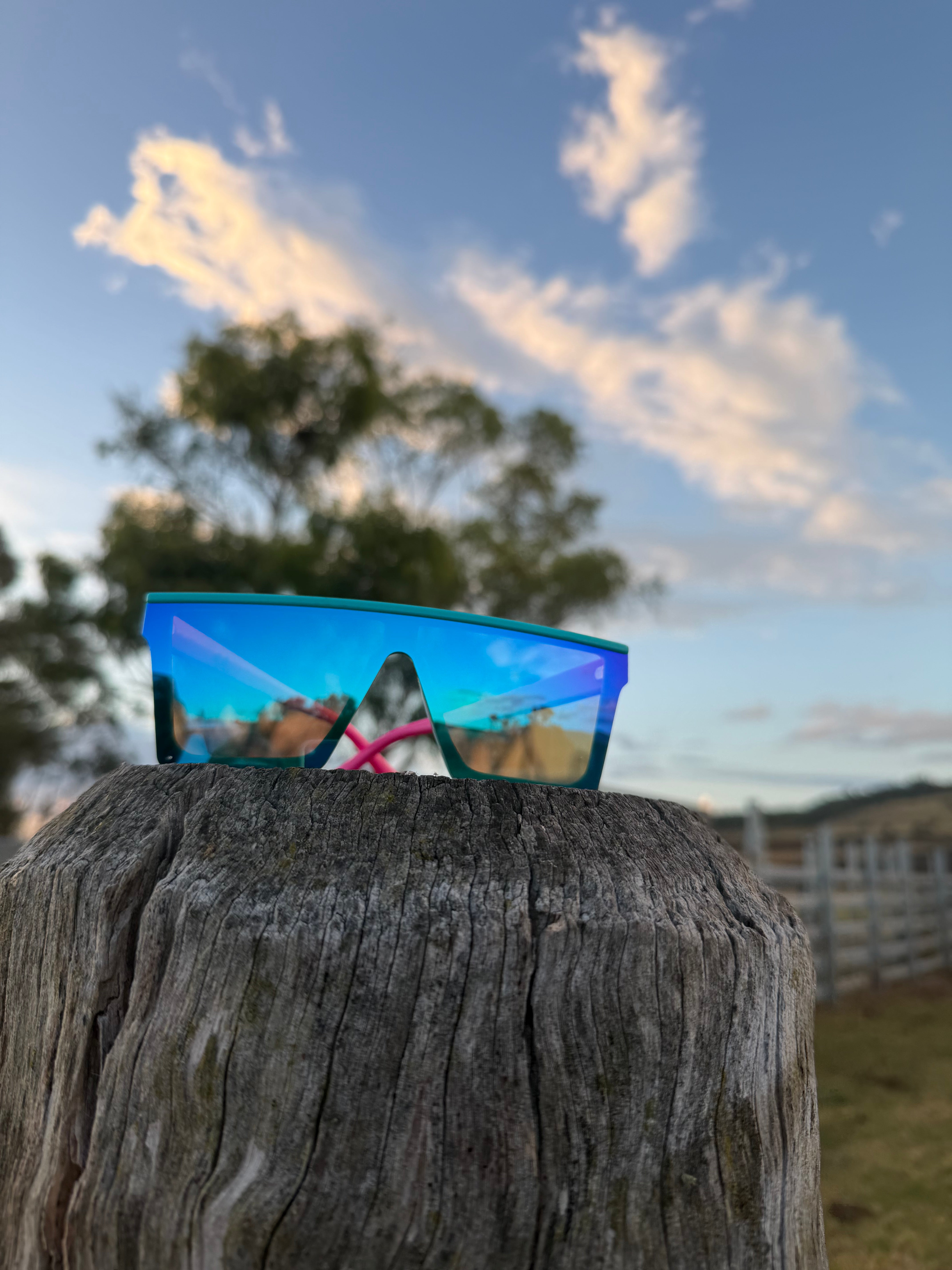 BB4x4 Pink/Teal Sunnies with Blue Lens