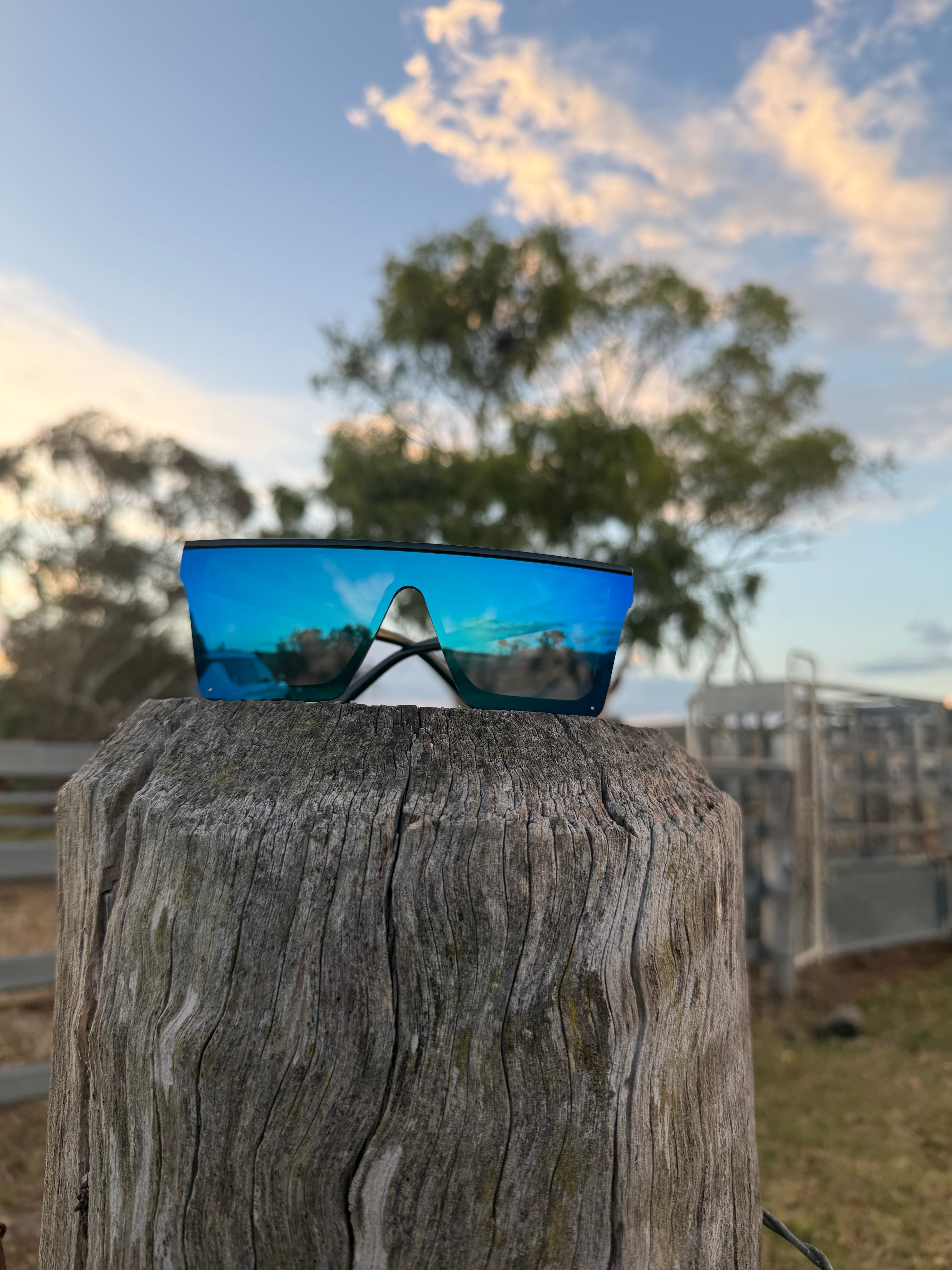 BB4x4 Black Sunnies with Light Blue Lens